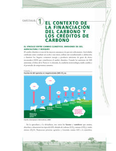 1 el contexto de la financiaci&oacute;n del carbono y los cr&eacute;ditos de carbono