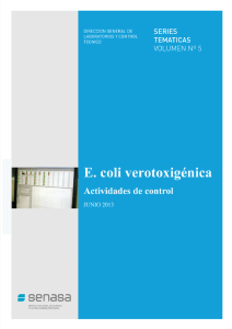 E. coli verotoxigénica