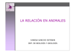 la relación en animales