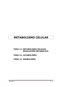 metabolismo celular