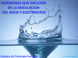 hormonas que influyen en la regulacion del agua y electrolitos