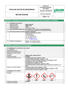 Metam Sodio 50 - Belchim Crop Protection