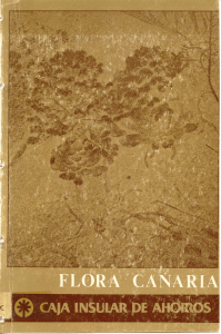 Flora canaria