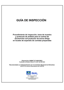 guía de inspección