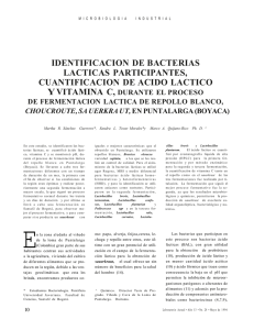 identificacion de bacterias lacticas participantes, cuantificacion de