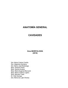 Apunte Anatomía General y Cavidades