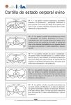 Cartilla de estado corporal ovino