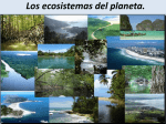 Los ecosistemas del planeta.