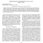 Estudio anatómico y morfológico de Gunnera insignis (Oerst.) A. De