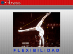 Flexibilidad - E