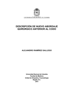 Trabajo de Grado Word no hiperlinks