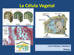 Introducción a la célula vegetal