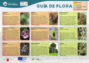 Guia de Flora - Murcia Natural