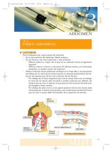 abdomen - Aula-MIR