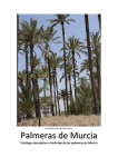 Palmeras de Murcia en pdf