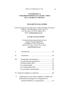 Estudio de la variabilidad molecular del virus de la rabia en