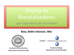 Mejora de Biocatalizadores
