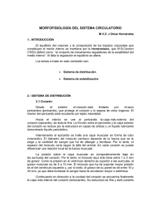 MORFOFISIOLOGÍA DEL SISTEMA CIRCULATORIO