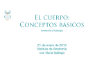 PDF El Cuerpo: Conceptos básicos 1