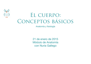 PDF El Cuerpo: Conceptos básicos 1