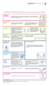 etapaS de producción de la Vacuna a(H1n1) 2009
