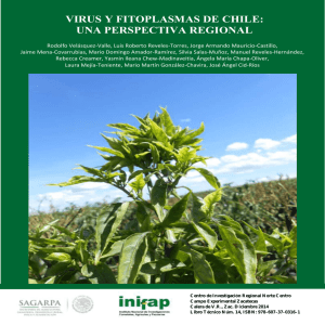 virus y fitoplasmas de chile: una perspectiva
