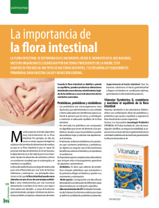 La importancia de la flora intestinal