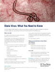 Ebola Virus: What You Need to Know