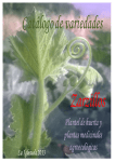 Zarzillos Catalogo Plantel 2013