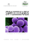 El microorganismo staphylococcus aureus