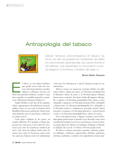 Antropología del tabaco - Revista Ciencia