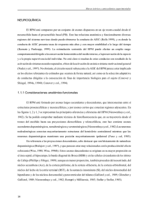 FACILITACI&Oacute;N DE LA MEMORIA