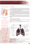 los pulmones - Elbibliote.com