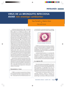 VER PDF - Selecciones Avícolas