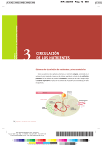 Circulación de los nutrientes