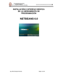 netbeans 6.0 - Biblioteca de la UNS