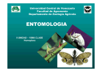 Entomologia