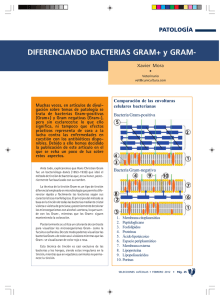 DIFERENCIANDO BACTERIAS GRAM+ y GRAM
