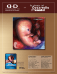 La Biología del Desarrollo Prenatal
