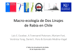 Macro-ecologia de dos linajes de rabia en Chile (Luis Escobar)