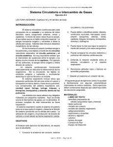 Sistema Circulatorio e Intercambio de Gases