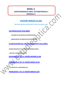 vision binocular - estudieoptica.com