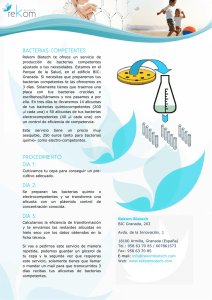 BACTERIAS COMPETENTES PROCEDIMIENTO DIA 1: DIA 2: DIA 3: