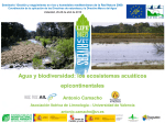 Agua y biodiversidad: los ecosistemas acuáticos epicontinentales