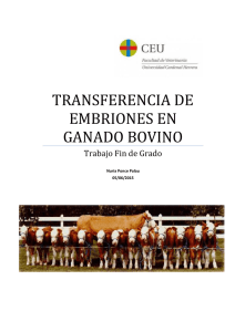 transferencia de embriones en ganado bovino