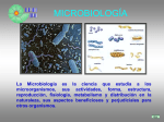 microbiología - biblioteca upibi
