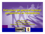 Estructura del genoma humano: perspectivas en biomedicina