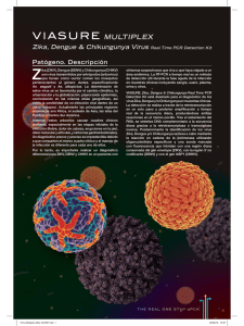 Descargar Ficha de Producto