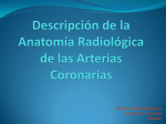 Descripción de la Anatomía Radiológica de las Arterias Coronarias