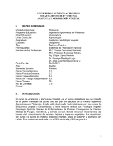 Anatomía Morfología Vegetal - Fitotecnia